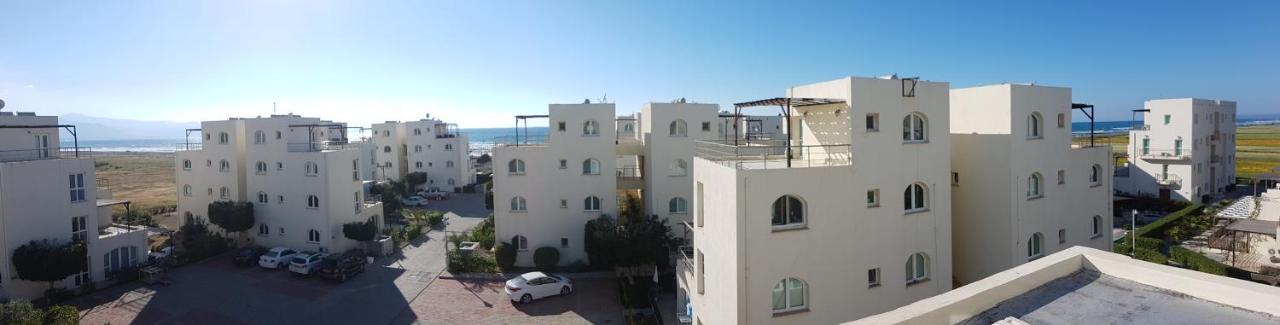 Aphrodite Beachfront Penthouse Apartment Ghaziveran Exteriér fotografie