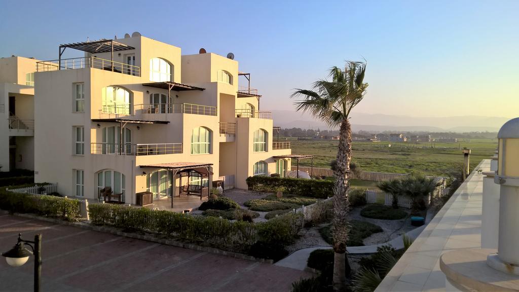 Aphrodite Beachfront Penthouse Apartment Ghaziveran Exteriér fotografie