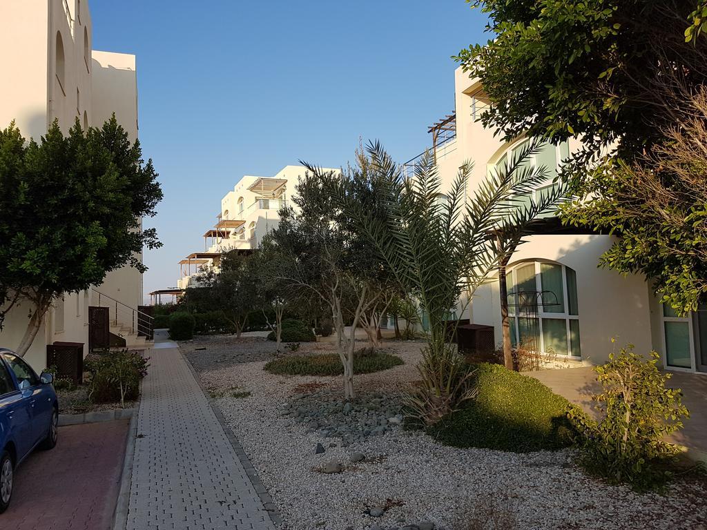 Aphrodite Beachfront Penthouse Apartment Ghaziveran Exteriér fotografie